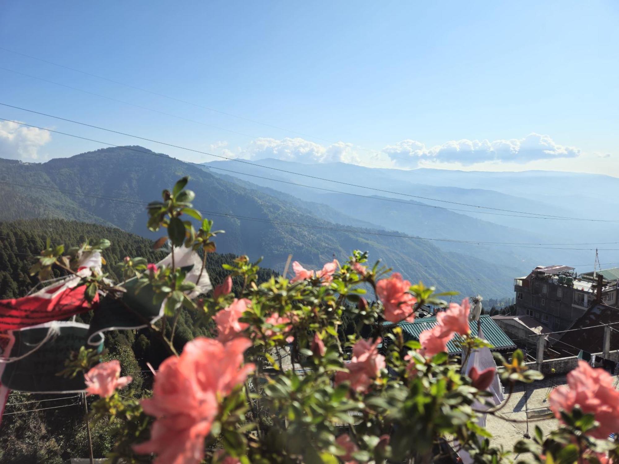 Lama Homestay Darjeeling  Eksteriør billede