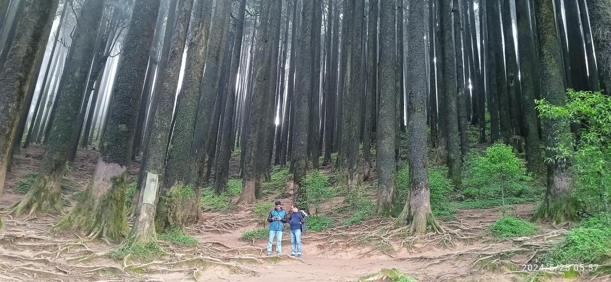 Lama Homestay Darjeeling  Eksteriør billede