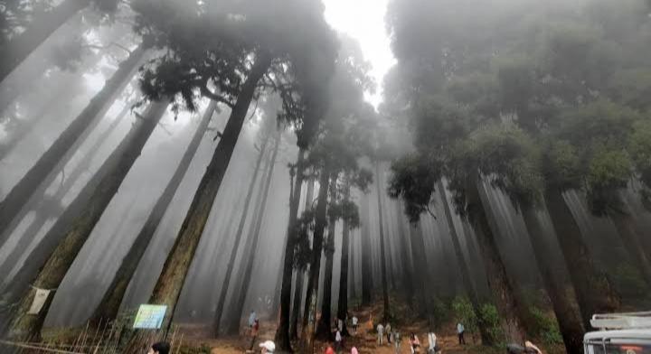 Lama Homestay Darjeeling  Eksteriør billede